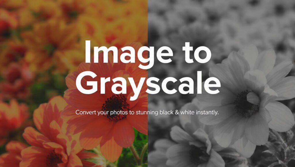 Image to Grayscale – Convierte Fotos a Blanco y Negro Online